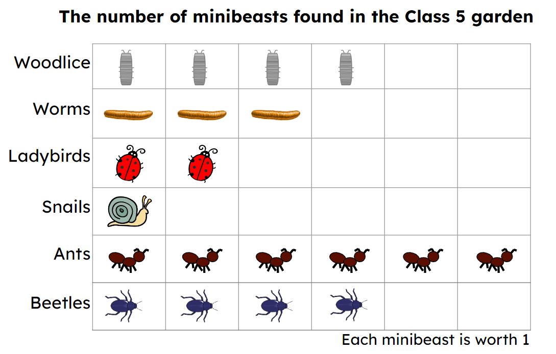 An image in a quiz