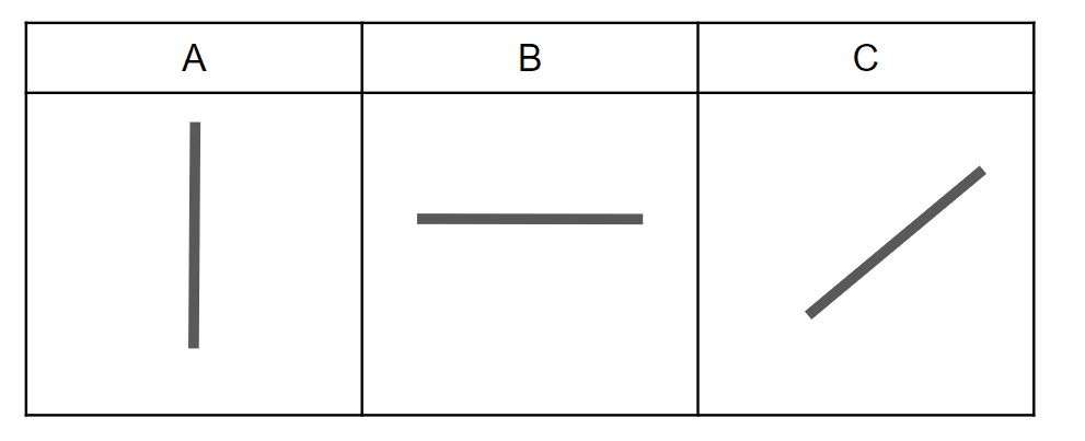 An image in a quiz