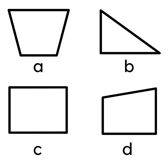 An image in a quiz