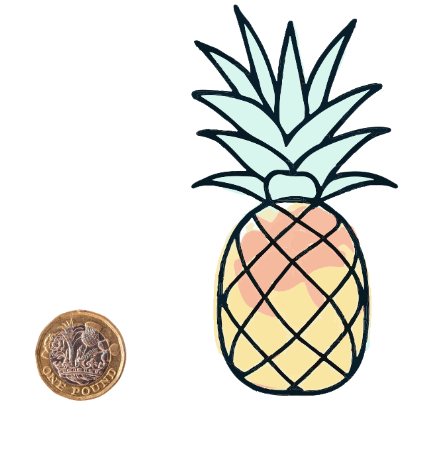An image in a quiz
