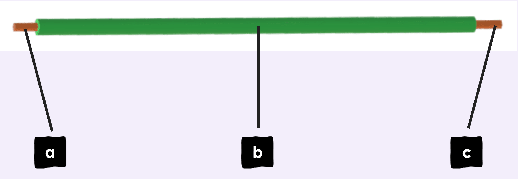 An image in a quiz