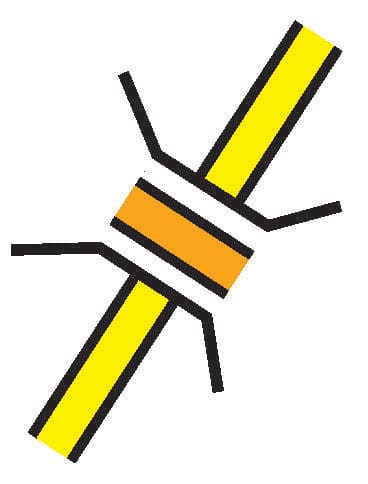An image in a quiz