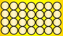 An image in a quiz
