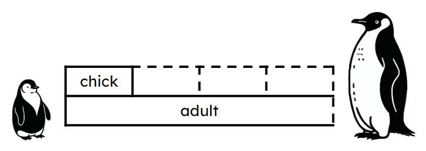 An image in a quiz