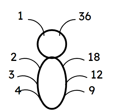 An image in a quiz