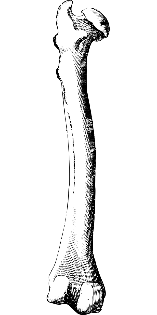 An image in a quiz