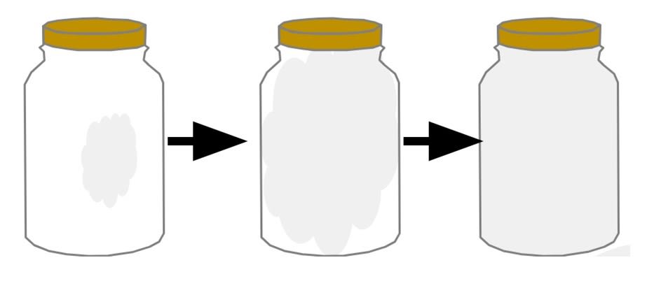 An image in a quiz