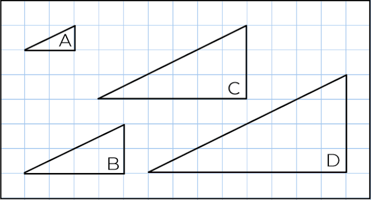 An image in a quiz