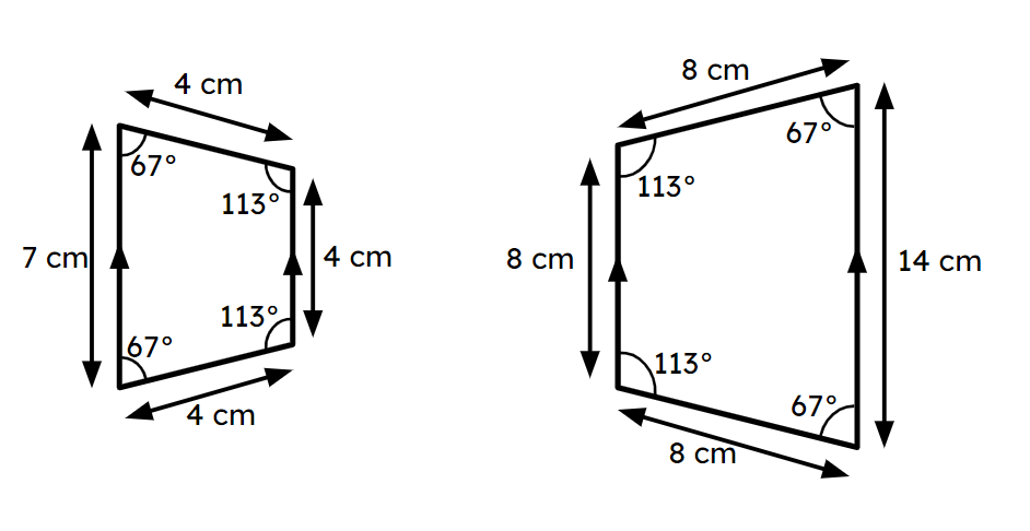 An image in a quiz