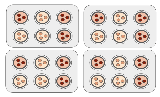 An image in a quiz