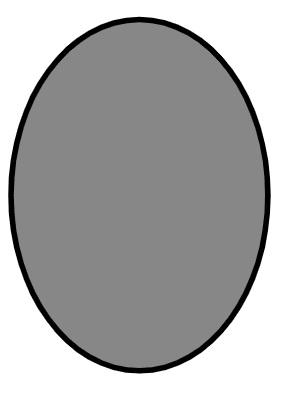 An image in a quiz