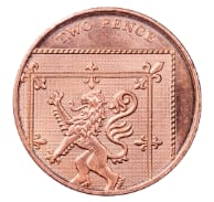 An image in a quiz