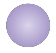 An image in a quiz