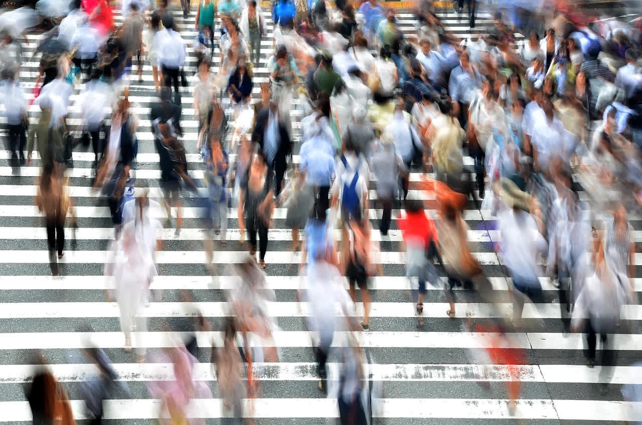 An image in a quiz