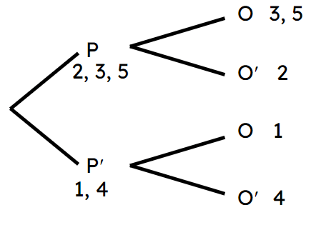 An image in a quiz