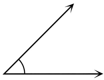 An image in a quiz