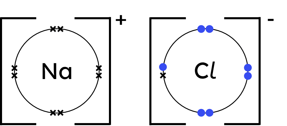 An image in a quiz