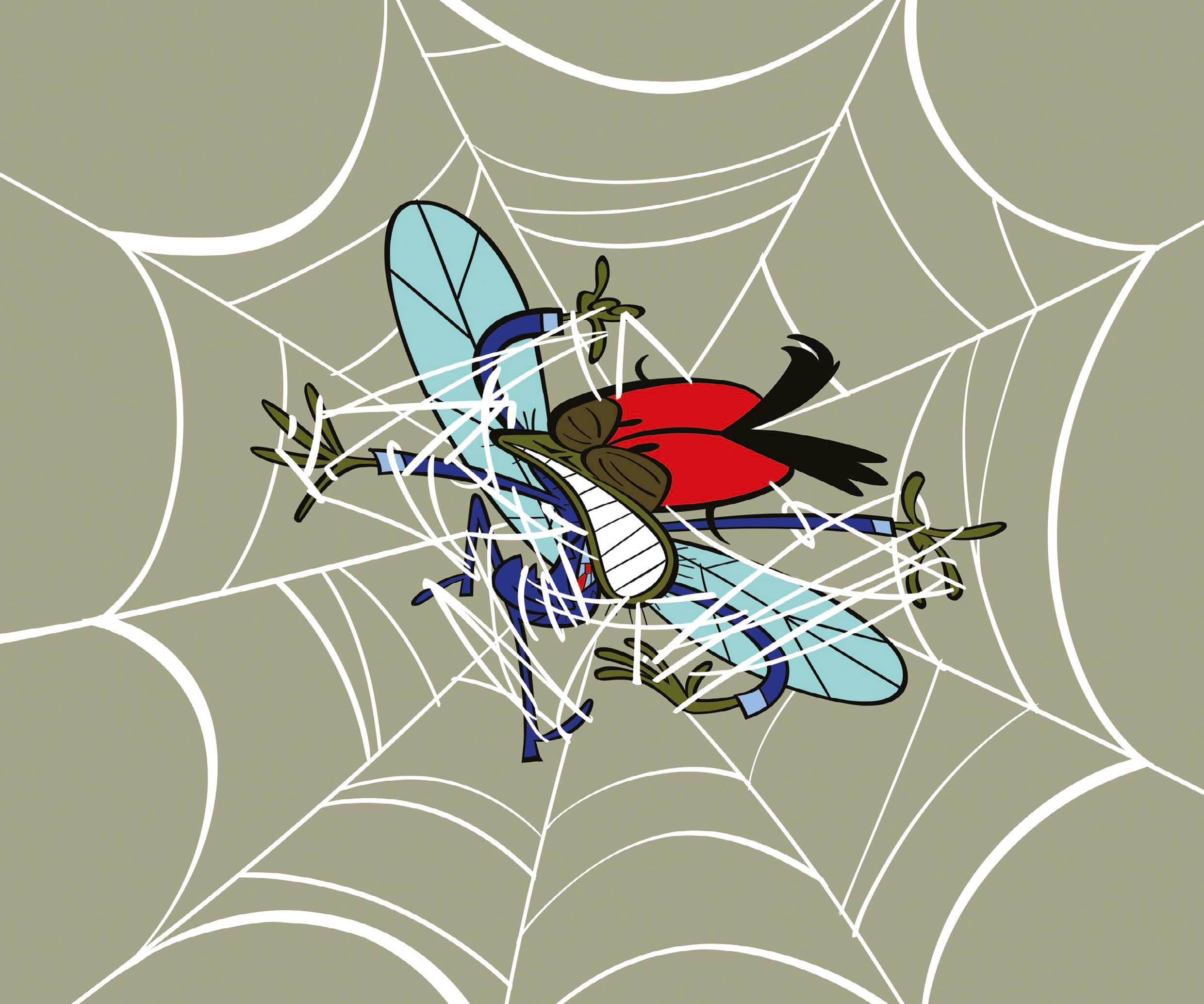 An image in a quiz