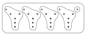 An image in a quiz