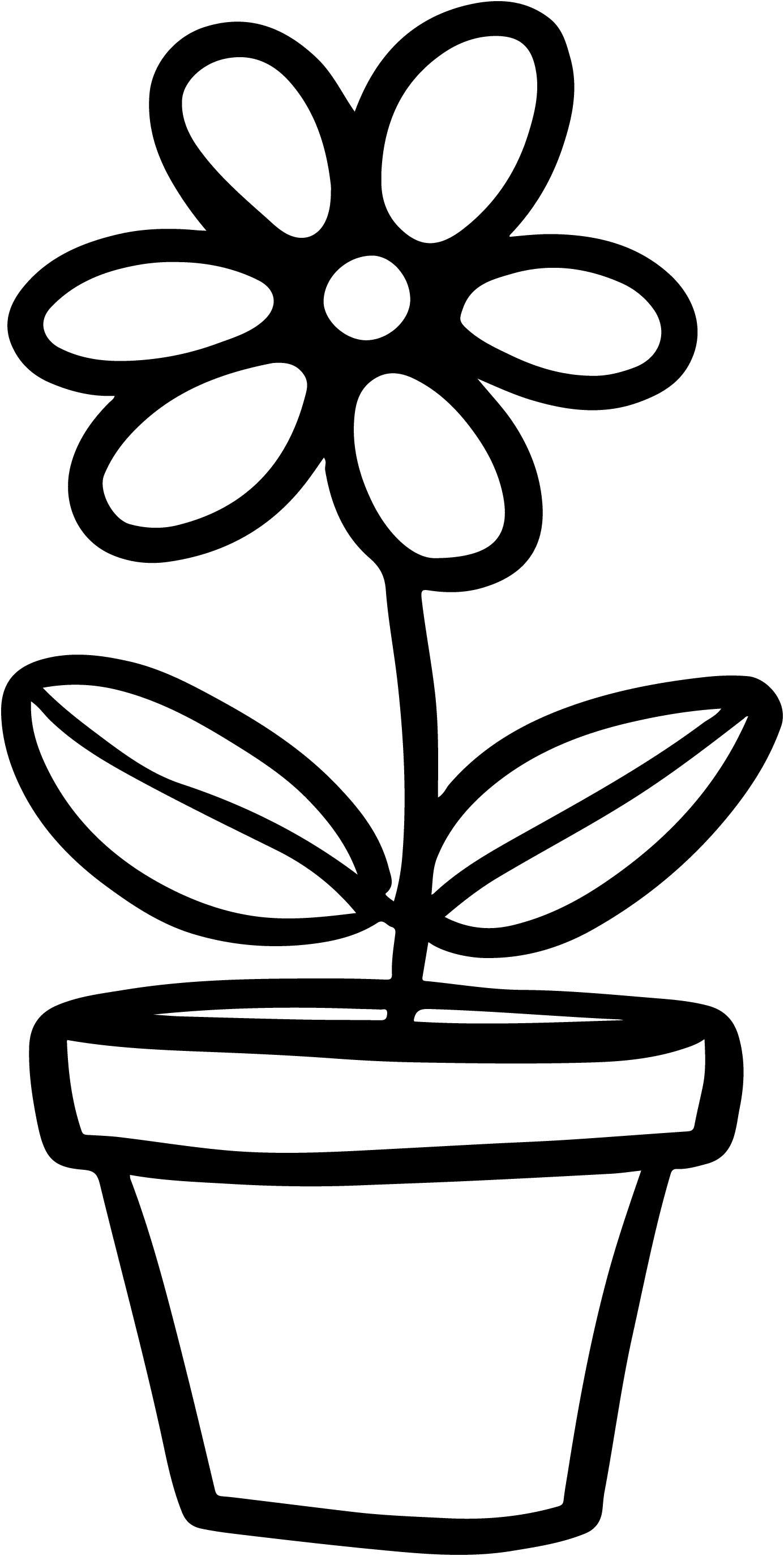 An image in a quiz