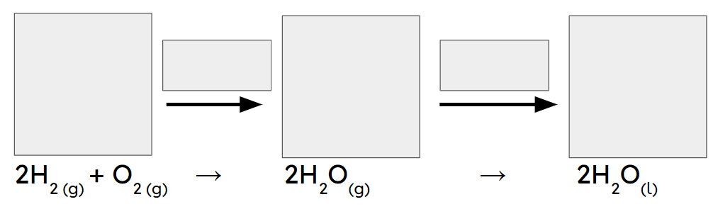 An image in a quiz