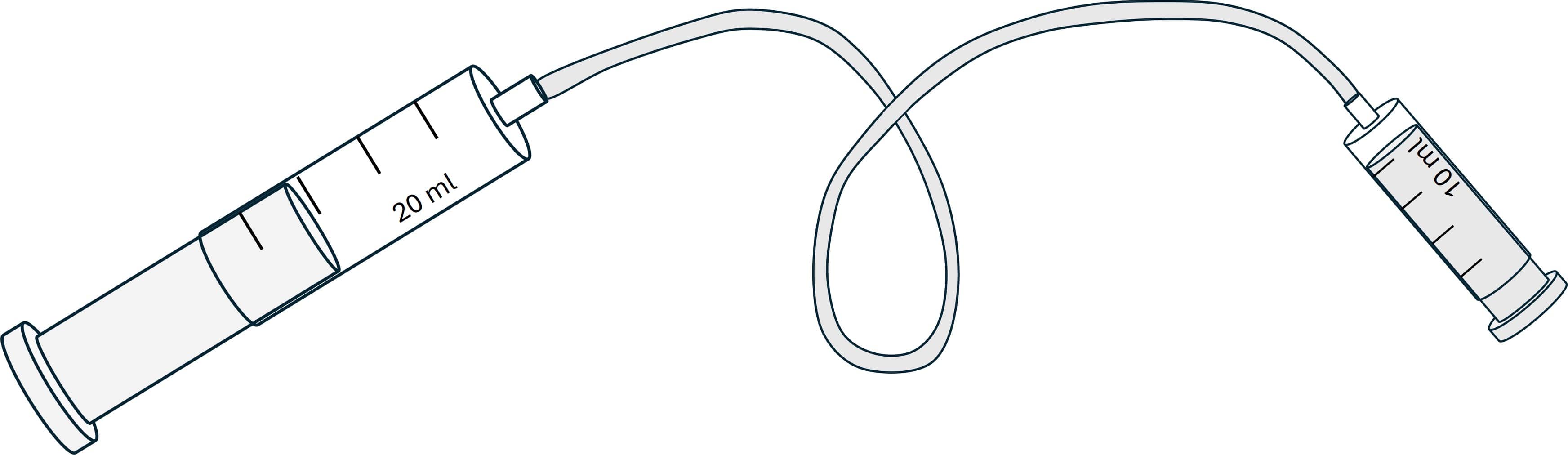 An image in a quiz