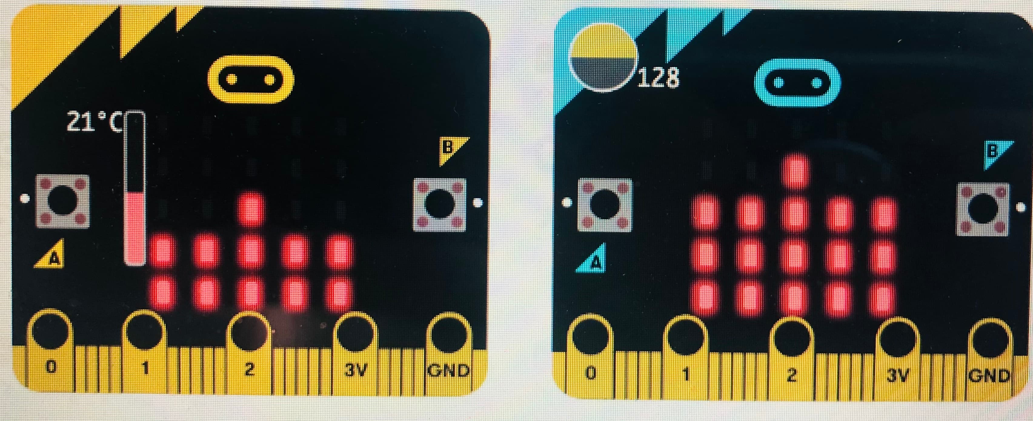 An image in a quiz