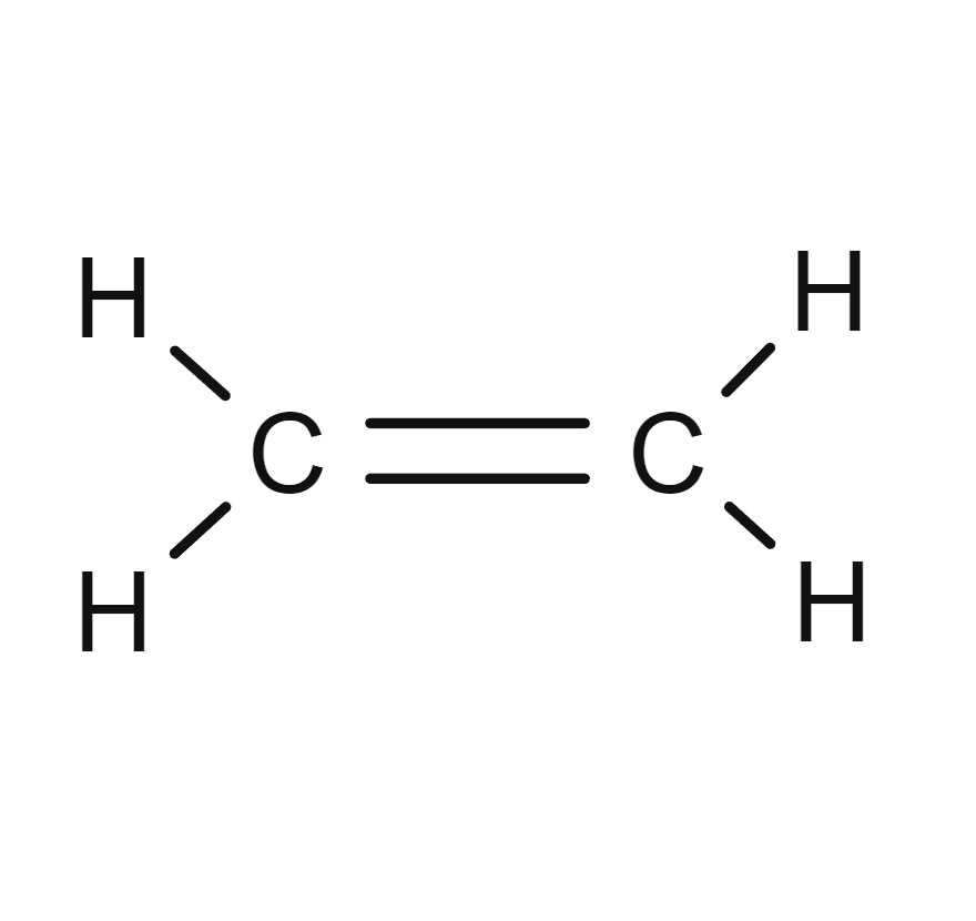 An image in a quiz