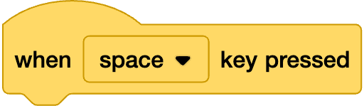 An image in a quiz