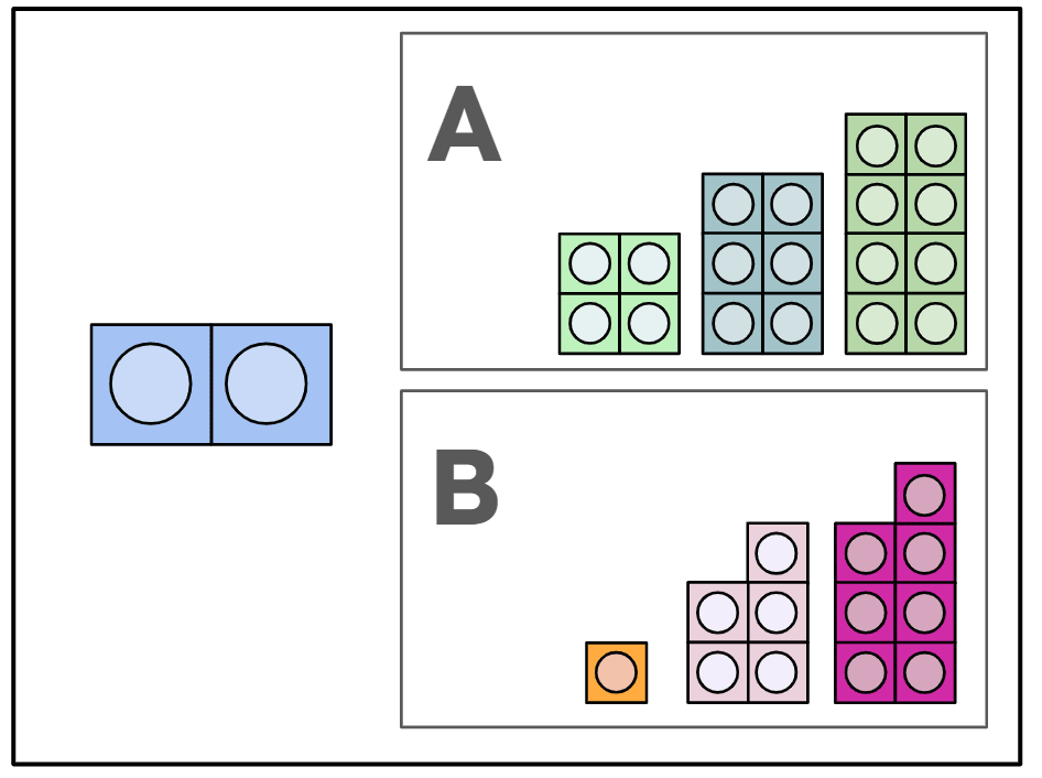 An image in a quiz