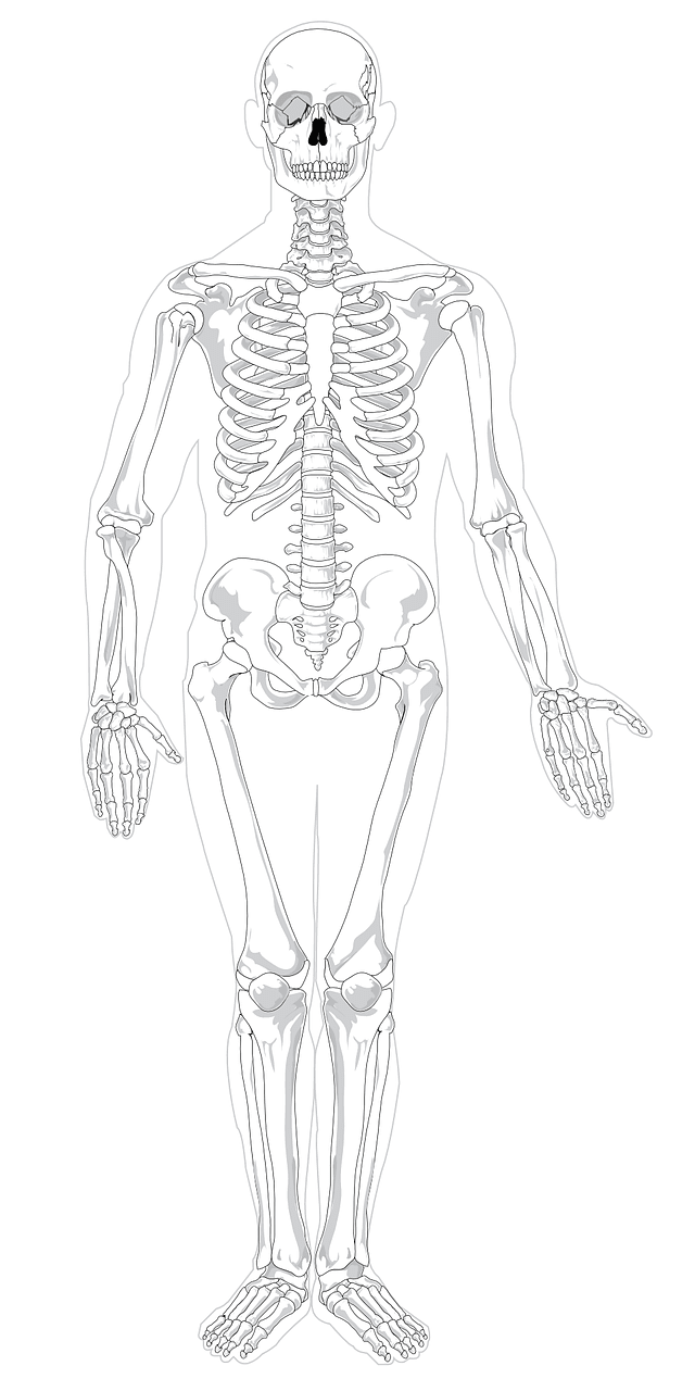 An image in a quiz