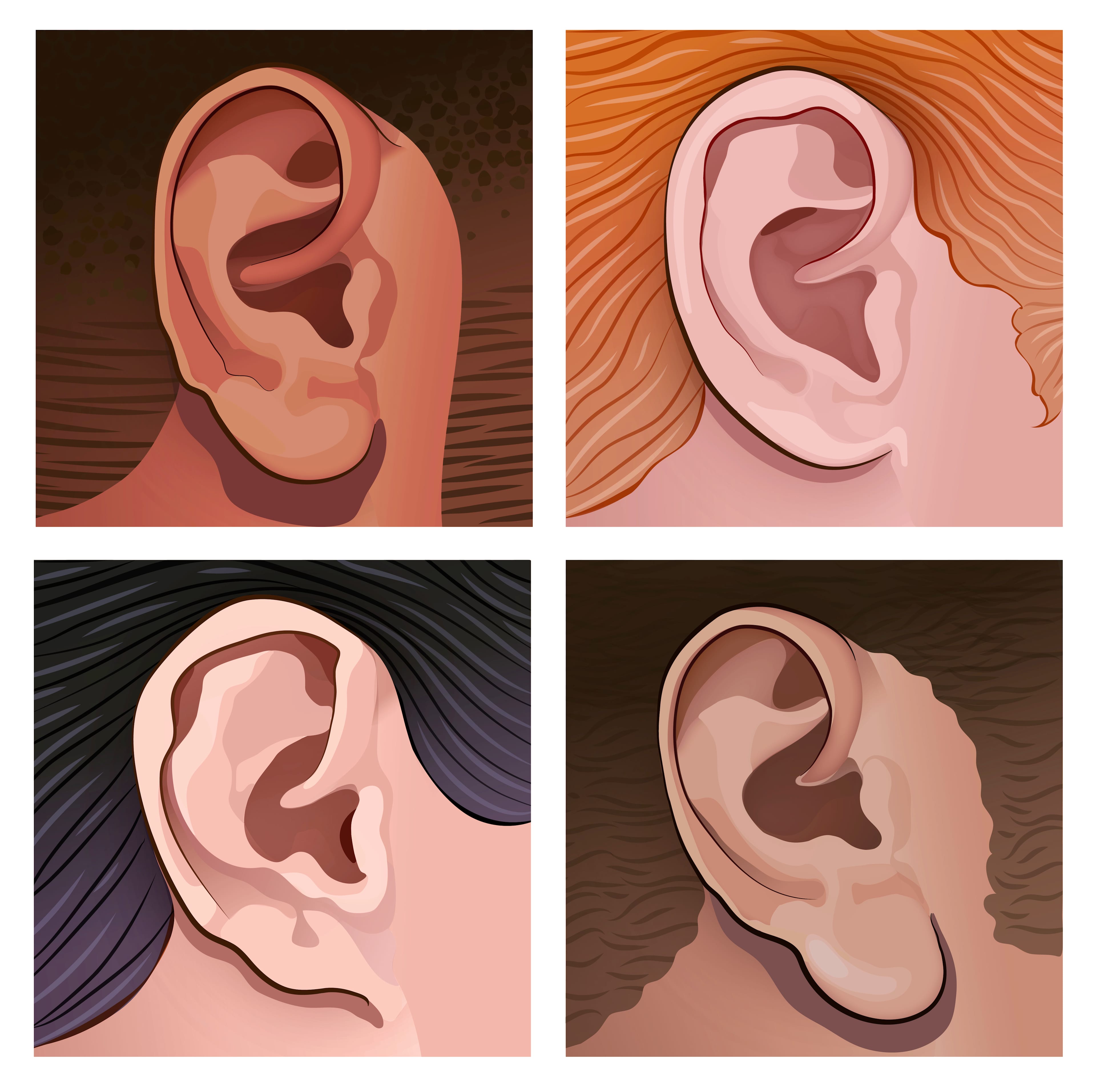 An image in a quiz