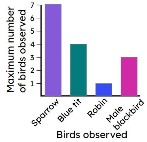 An image in a quiz