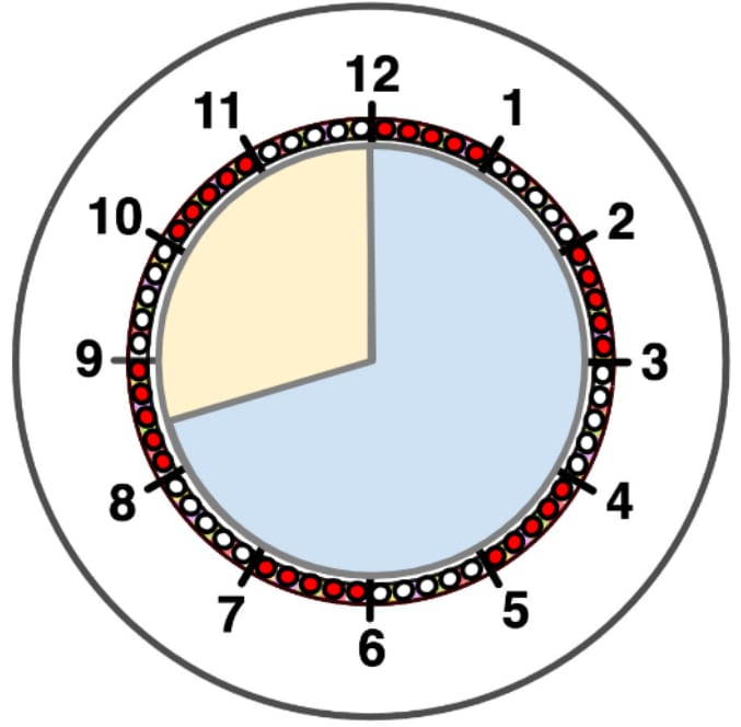 An image in a quiz
