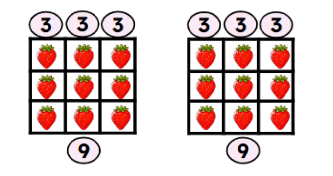 An image in a quiz
