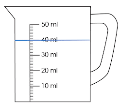 An image in a quiz