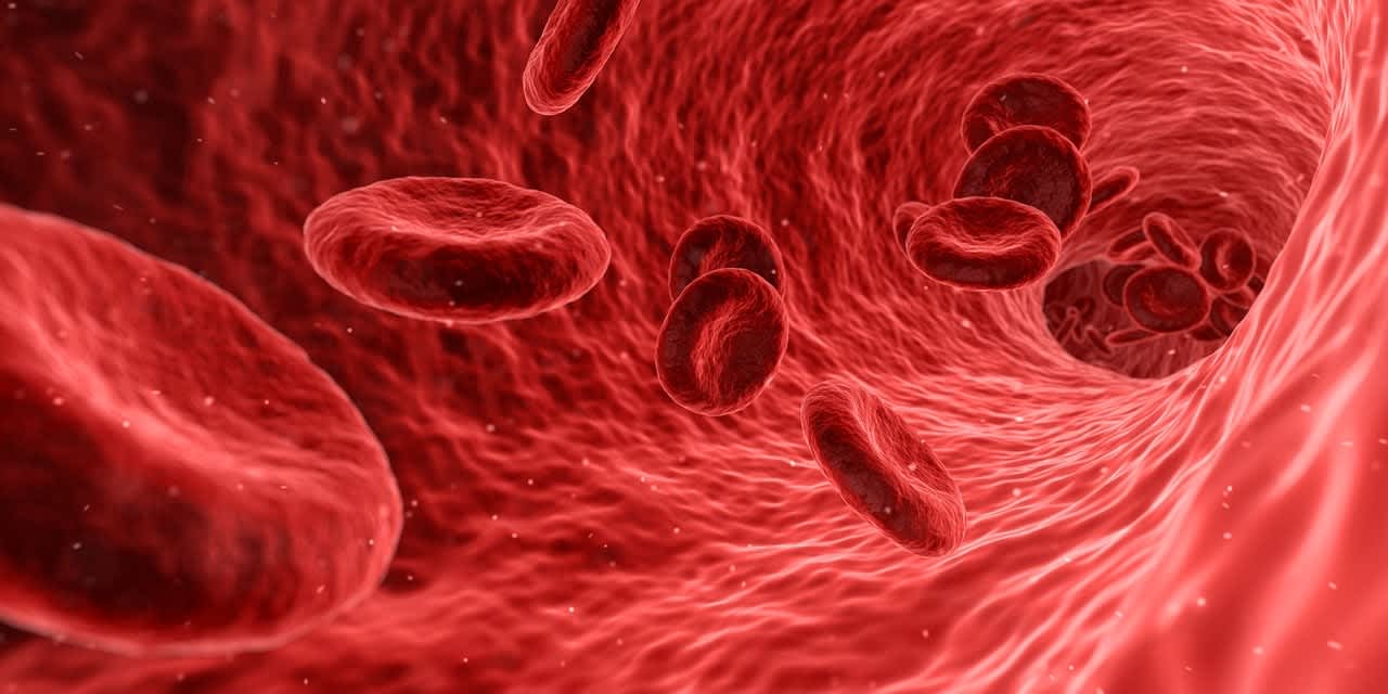 An image in a quiz