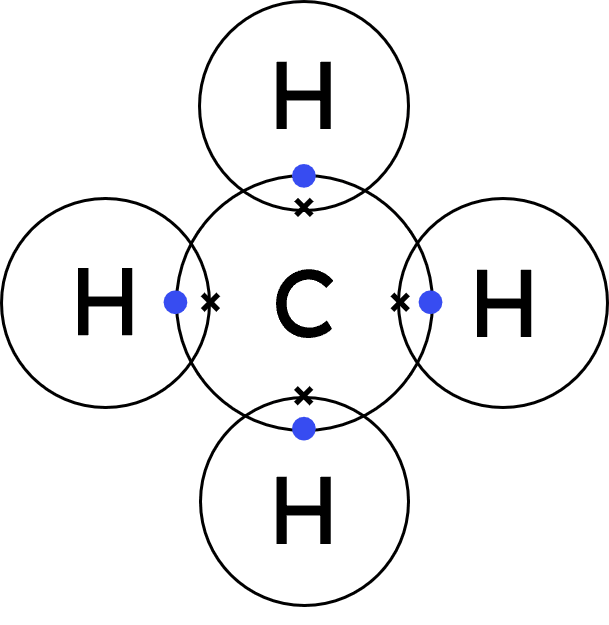 An image in a quiz