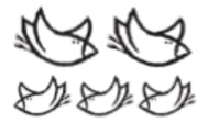 An image in a quiz