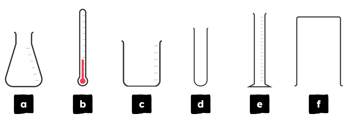 An image in a quiz