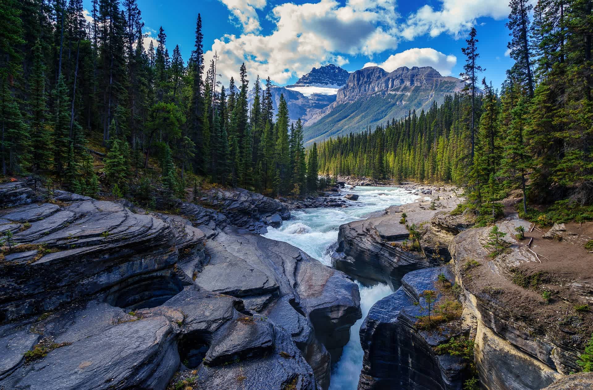 An image in a quiz