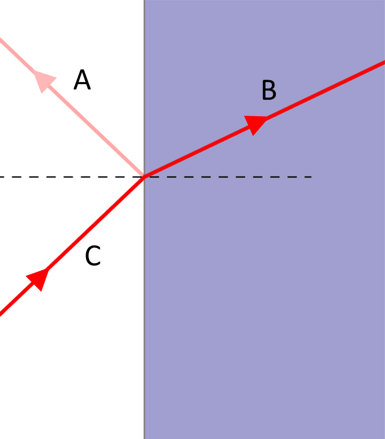 An image in a quiz