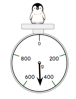 An image in a quiz