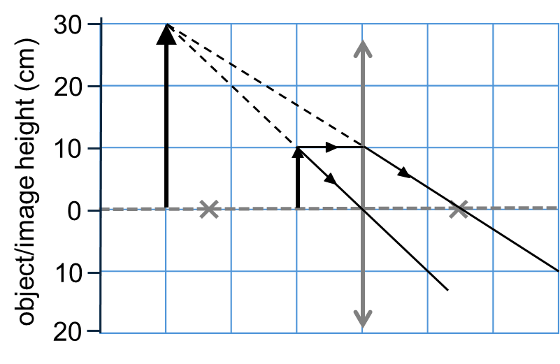 An image in a quiz