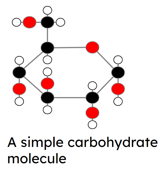 An image in a quiz