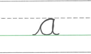 An image in a quiz