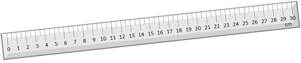 An image in a quiz