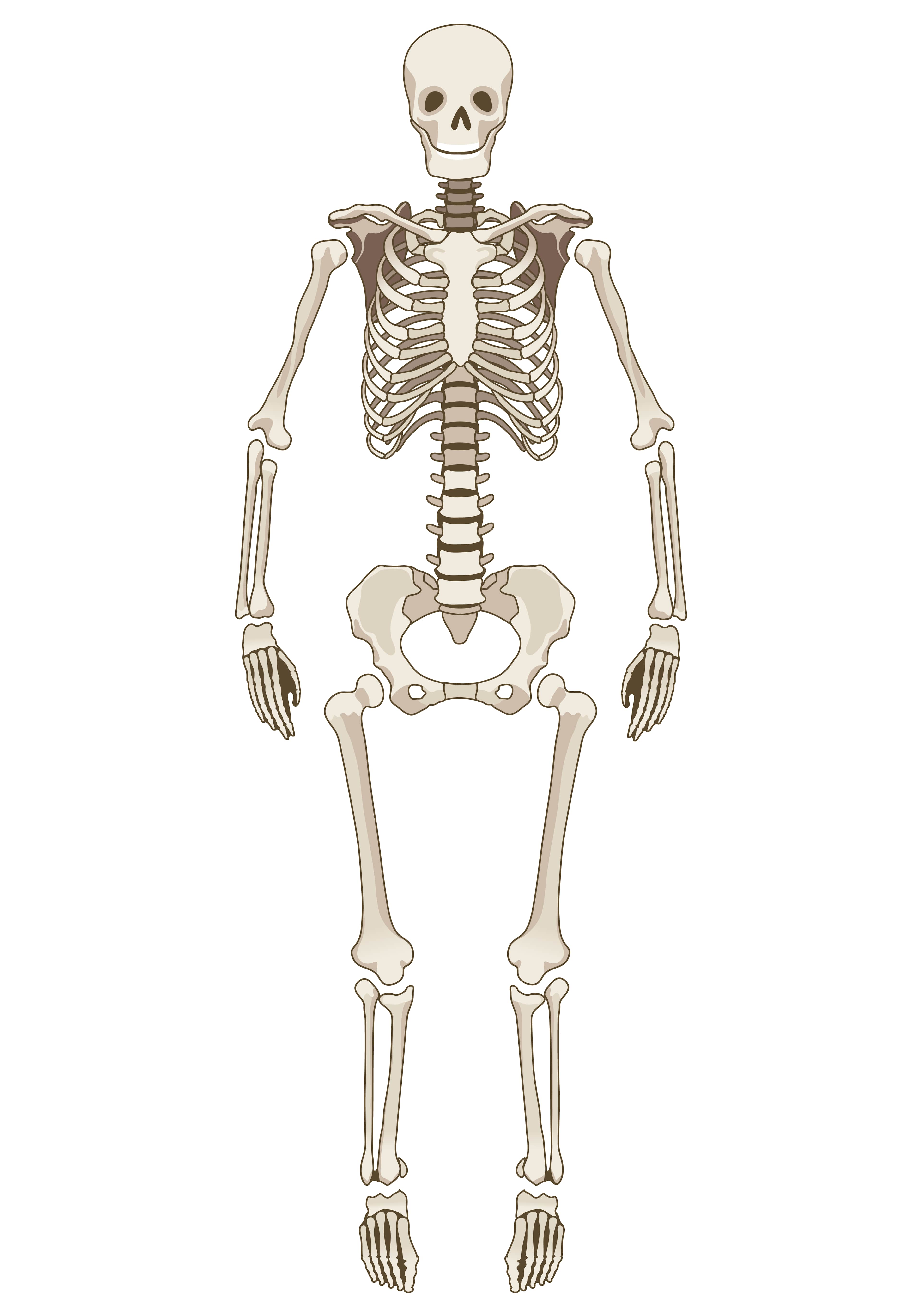 An image in a quiz