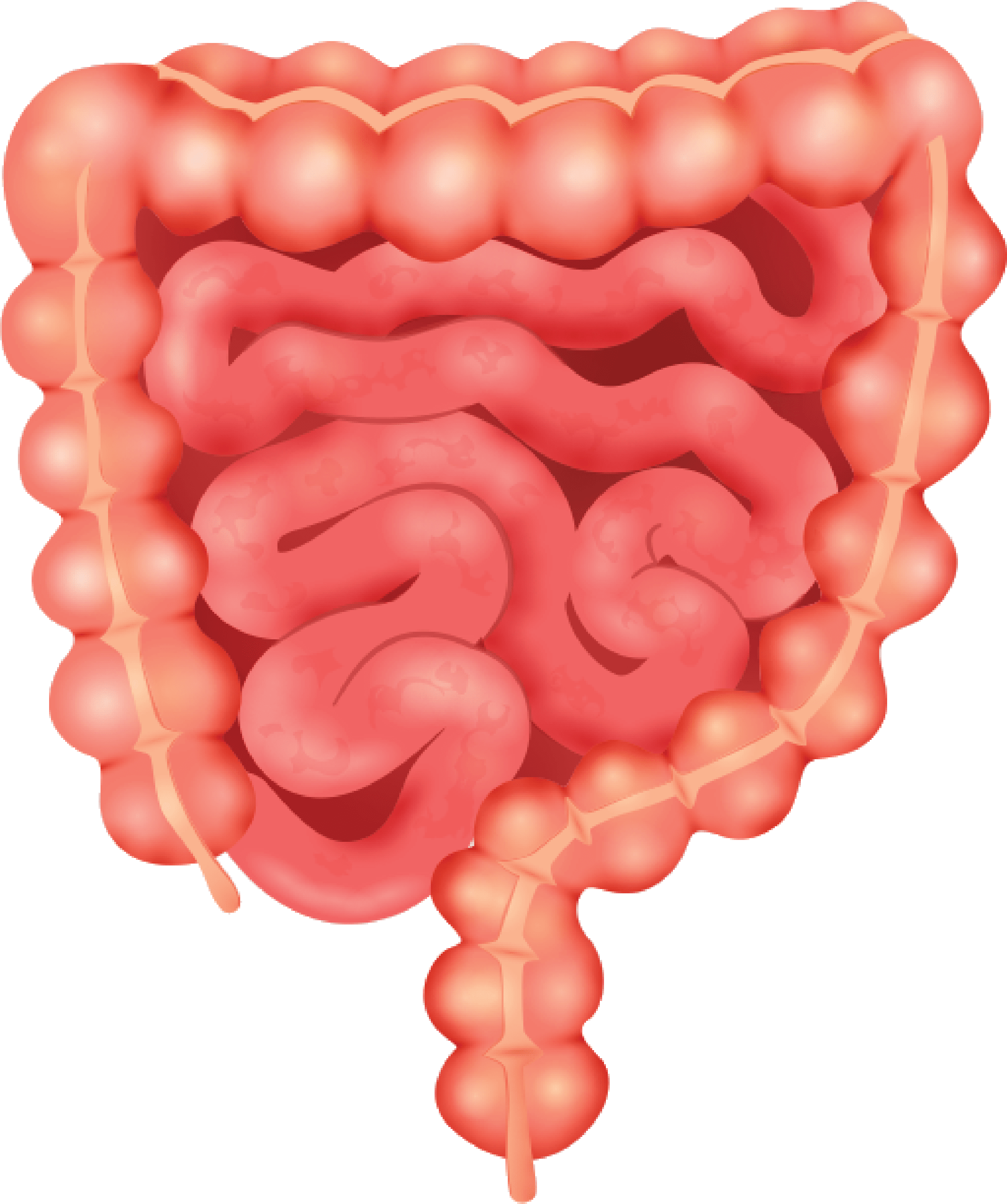 An image in a quiz