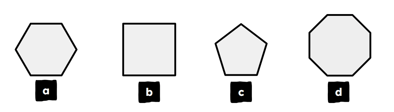 An image in a quiz